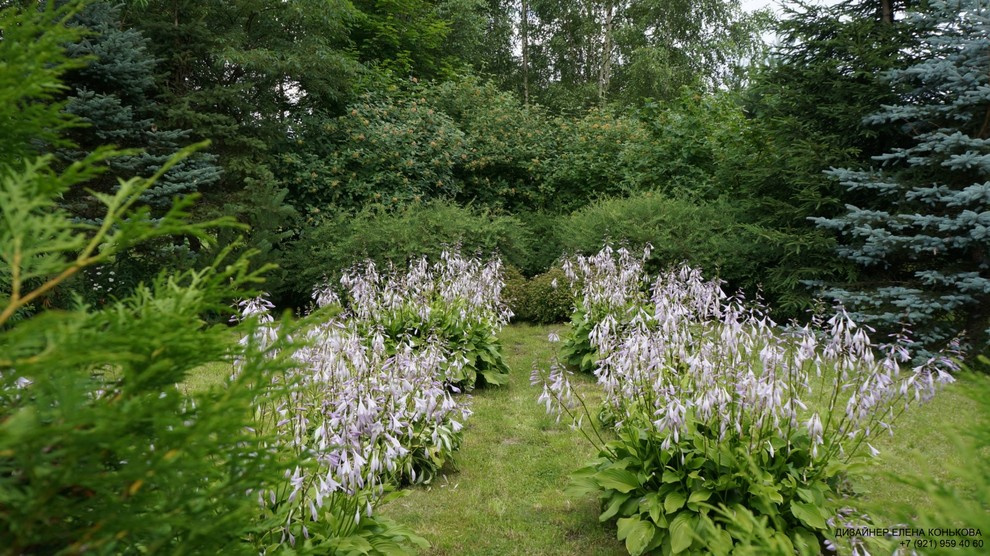 Сады по моим проектам.