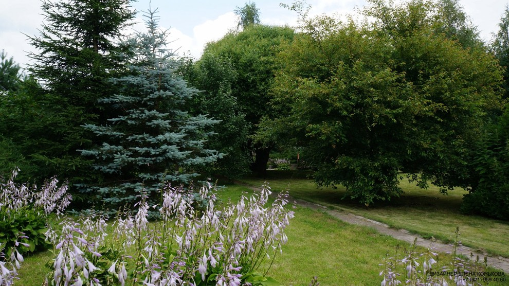 Сады по моим проектам.