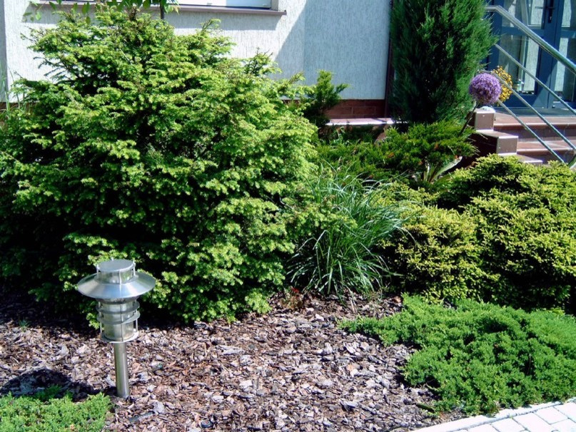 ландшафтный дизайн