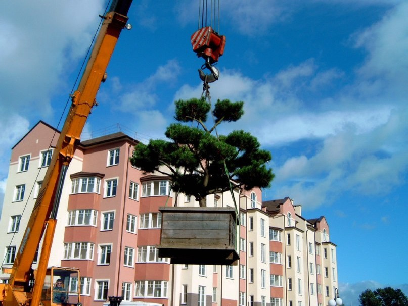 ландшафтный дизайн