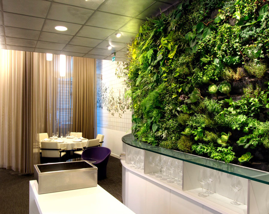 Обложка проекта: Фитостены