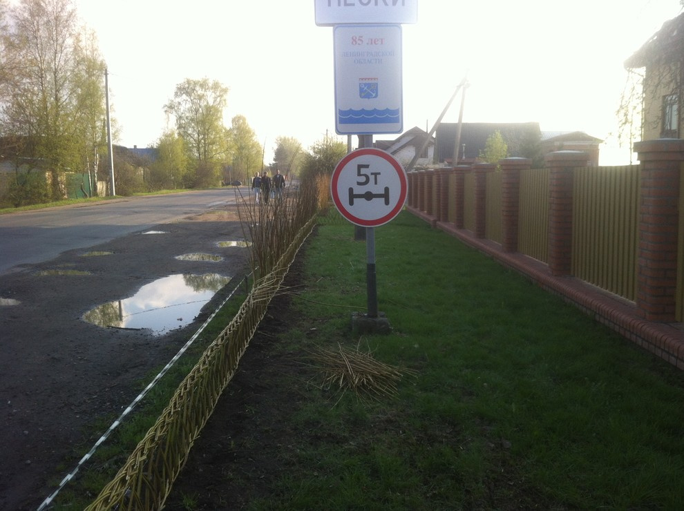 Живая изгородь из лозы.