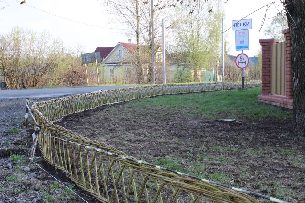 Живая изгородь из лозы.