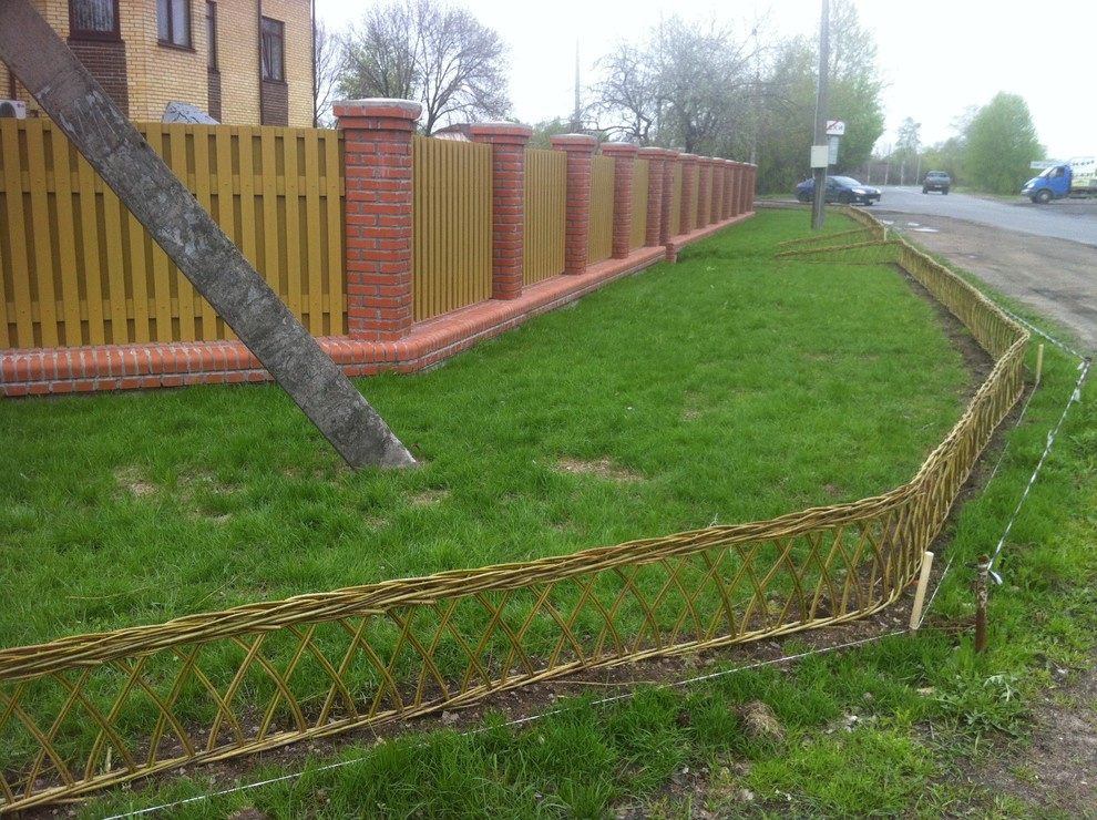 Живая изгородь из лозы.