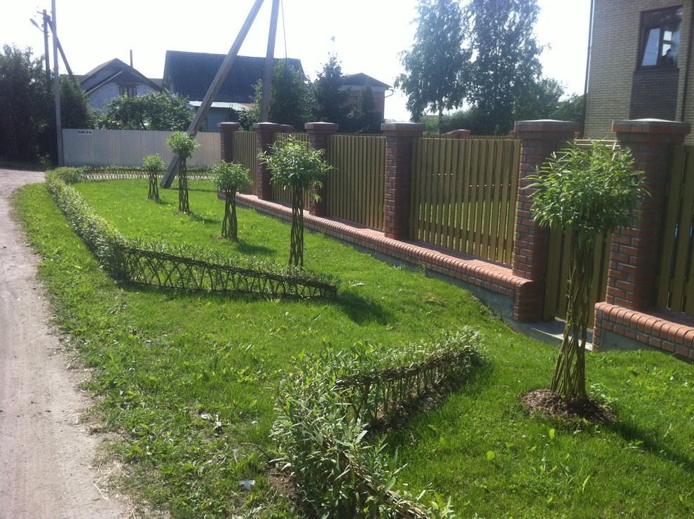 Обложка проекта: Живая изгородь из лозы.