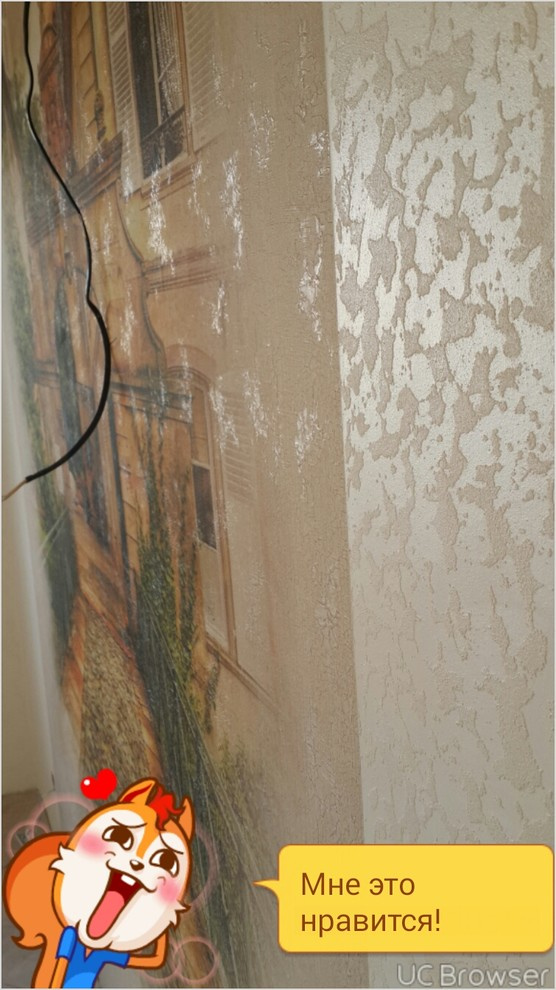 Обложка проекта: декор штукатурка и фото обои