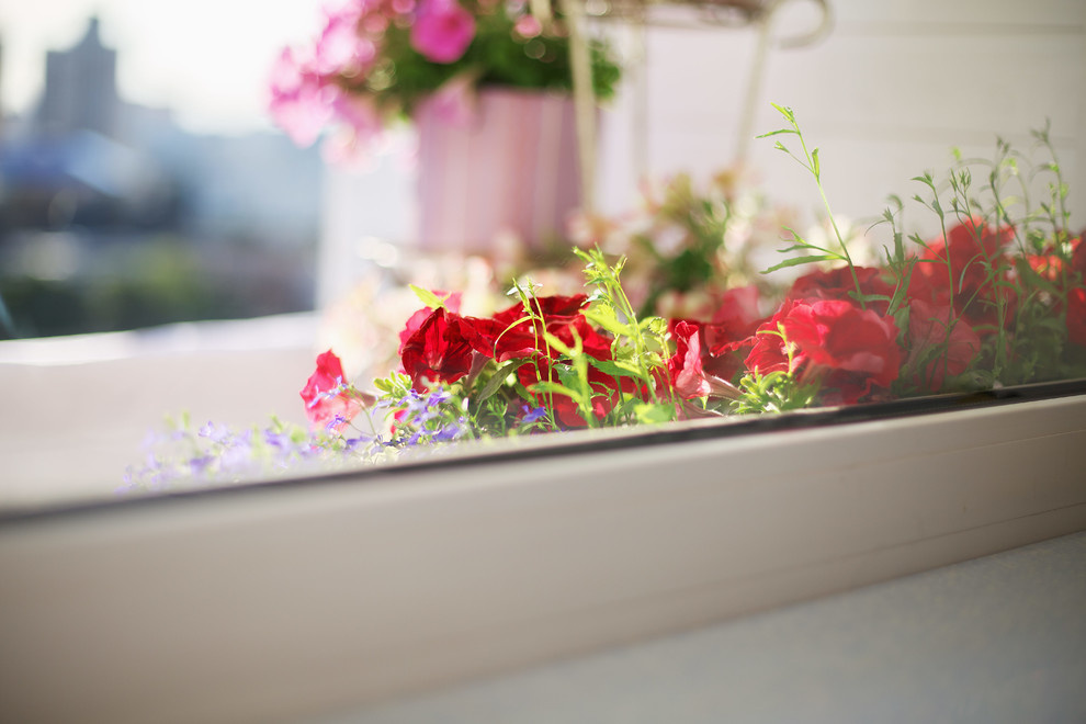 Дом дизайнера