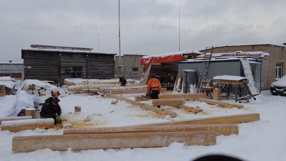 Строительство бани из лафета ангарской сосны. Норвежская рубка