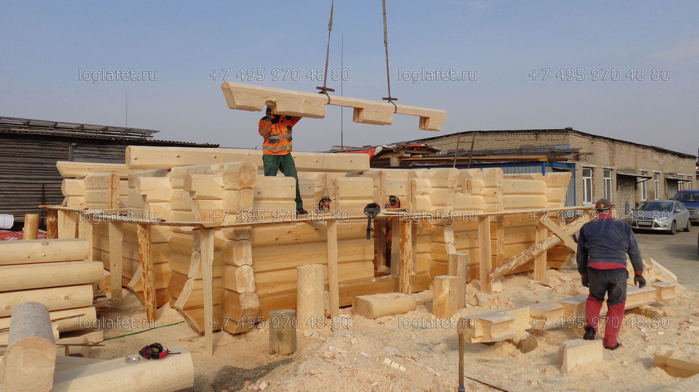 Строительство бани из лафета ангарской сосны. Норвежская рубка