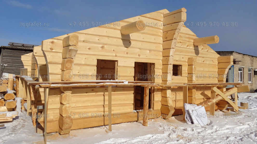 Строительство бани из лафета ангарской сосны. Норвежская рубка