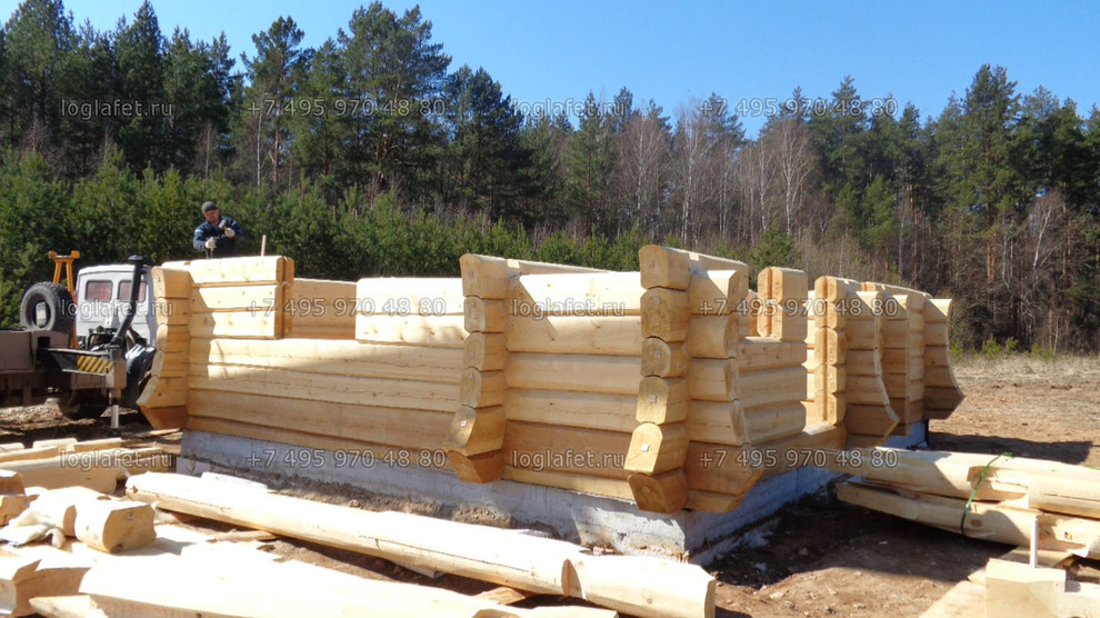 Строительство бани из лафета ангарской сосны. Норвежская рубка