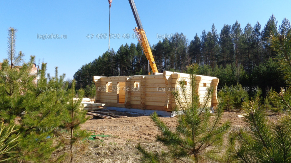 Строительство бани из лафета ангарской сосны. Норвежская рубка