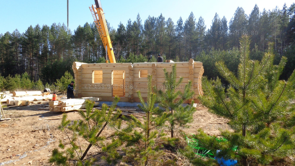 Строительство бани из лафета ангарской сосны. Норвежская рубка