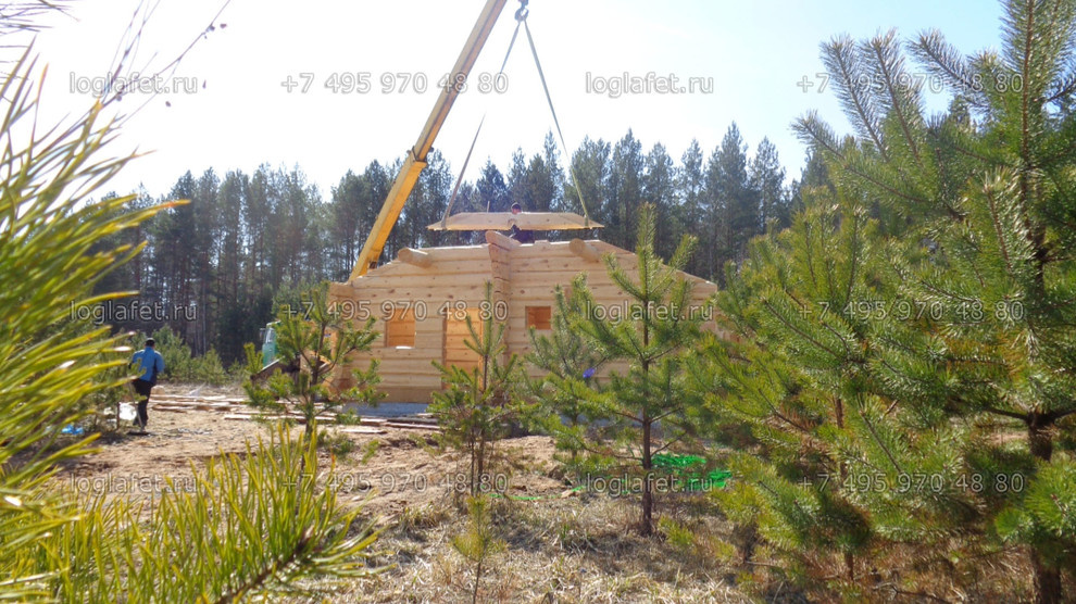 Строительство бани из лафета ангарской сосны. Норвежская рубка