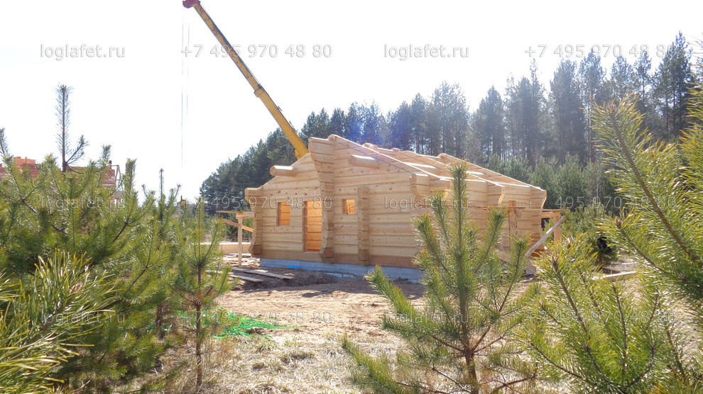 Строительство бани из лафета ангарской сосны. Норвежская рубка