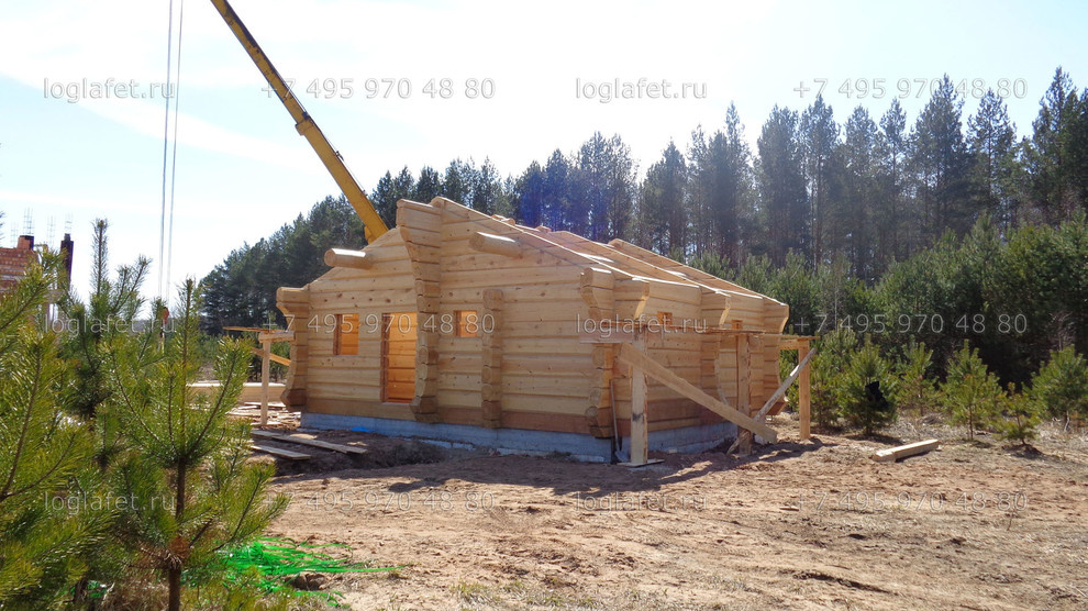 Строительство бани из лафета ангарской сосны. Норвежская рубка