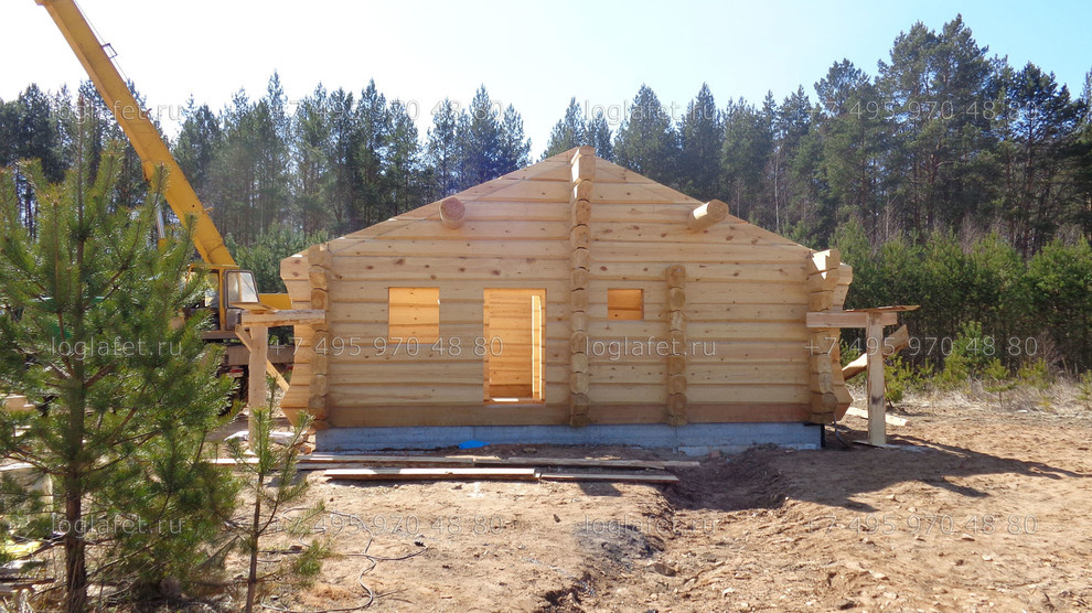 Строительство бани из лафета ангарской сосны. Норвежская рубка