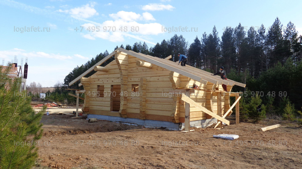 Строительство бани из лафета ангарской сосны. Норвежская рубка