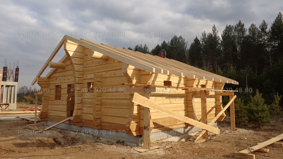 Строительство бани из лафета ангарской сосны. Норвежская рубка