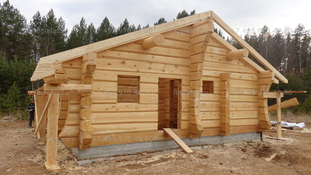 Строительство бани из лафета ангарской сосны. Норвежская рубка