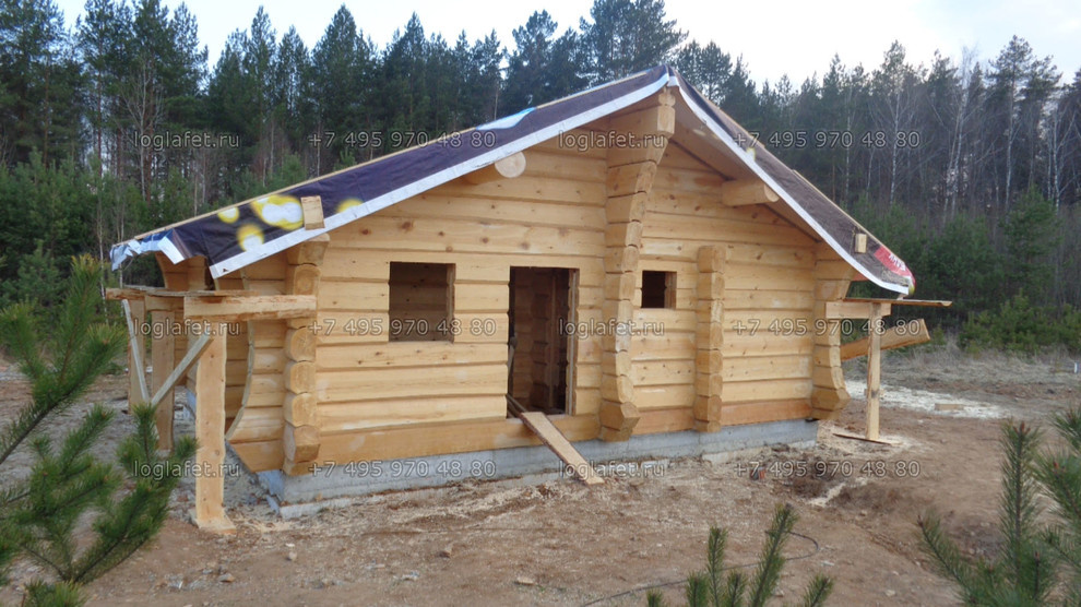 Строительство бани из лафета ангарской сосны. Норвежская рубка