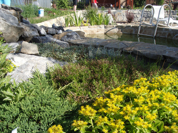 Строительство благоустройство озеленение участка сада