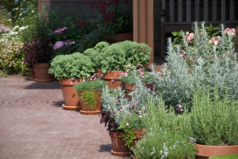 Сезонное украшение участка