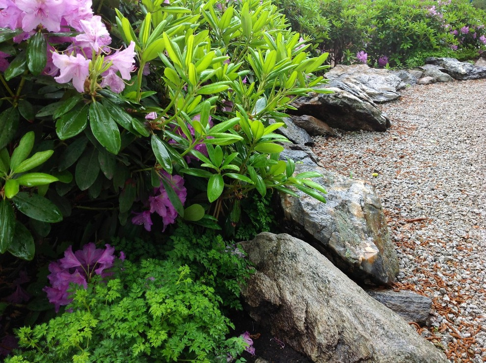 Альпинарии