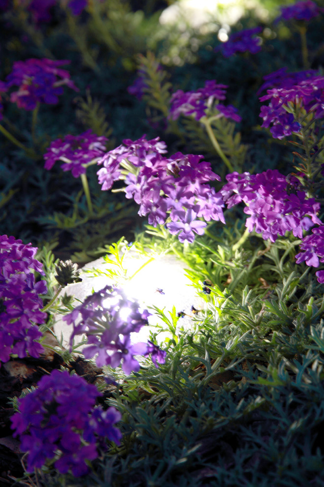 Освещение в саду