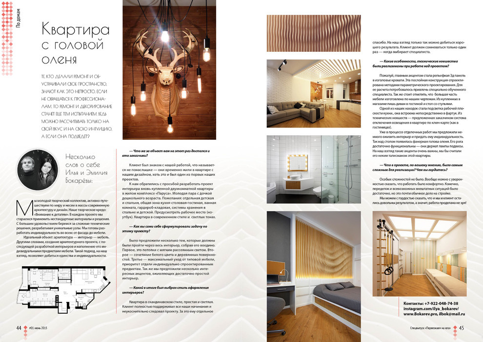 Квартира с головой оленя