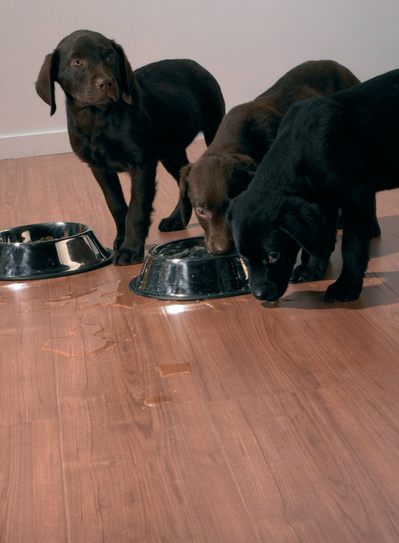 ламинат ДАЙМОНД