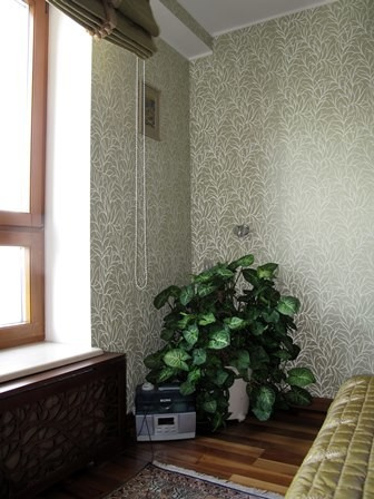 Вокруг света