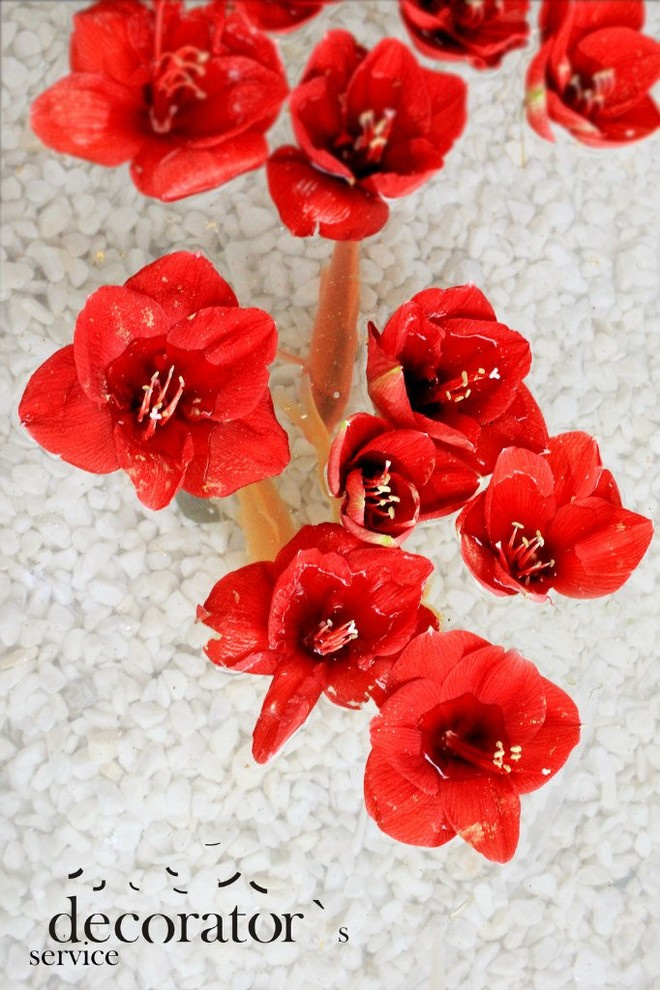 стенд-сад для МТС на Moscow Flower Show 2013 . Парк Горького