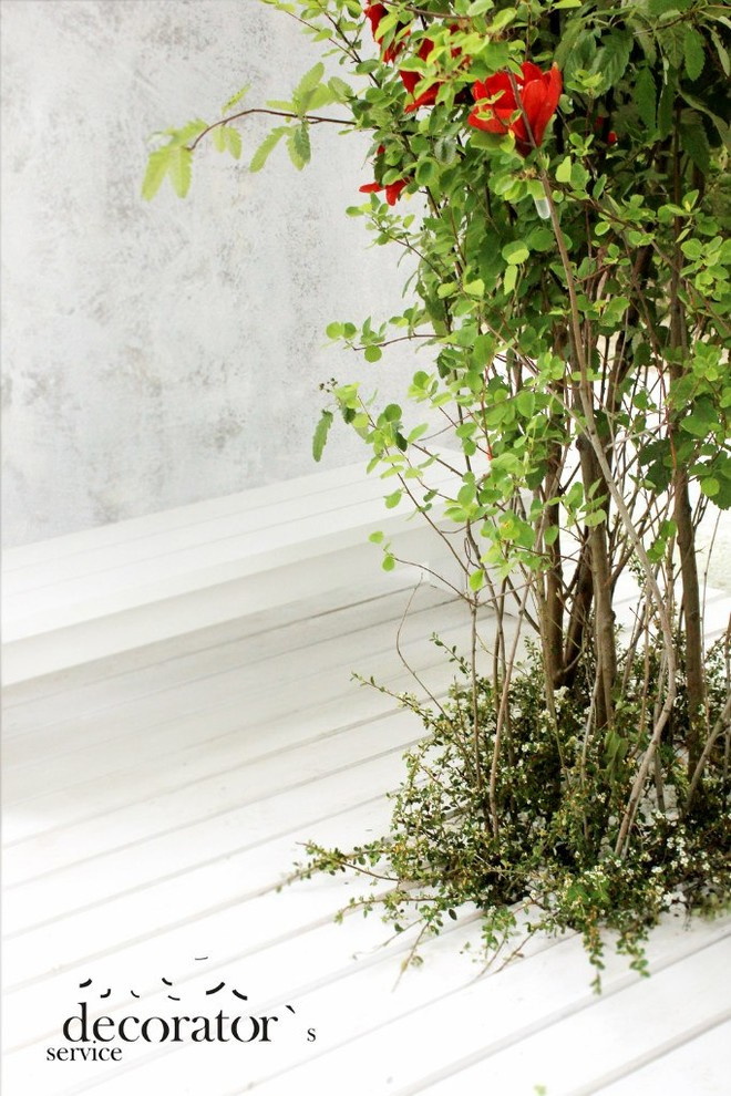 стенд-сад для МТС на Moscow Flower Show 2013 . Парк Горького