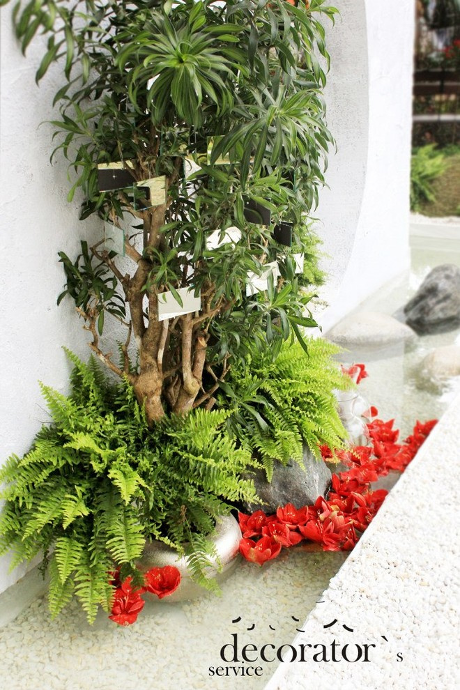 стенд-сад для МТС на Moscow Flower Show 2013 . Парк Горького