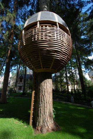 Домик на дереве