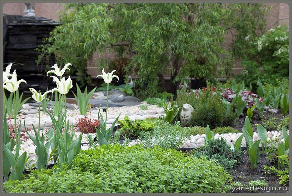 6 соток и меньше: Стратегии выбора растений