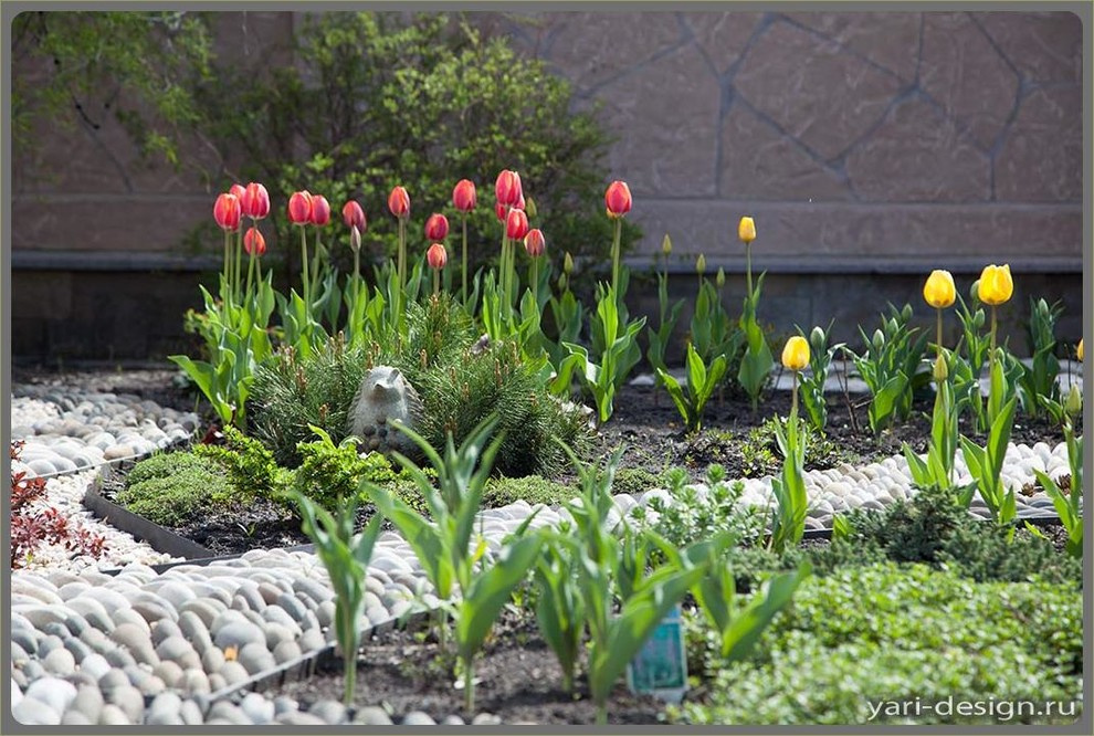 Весенний сад