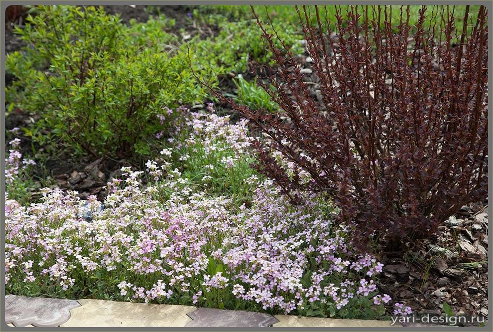 Весенний сад