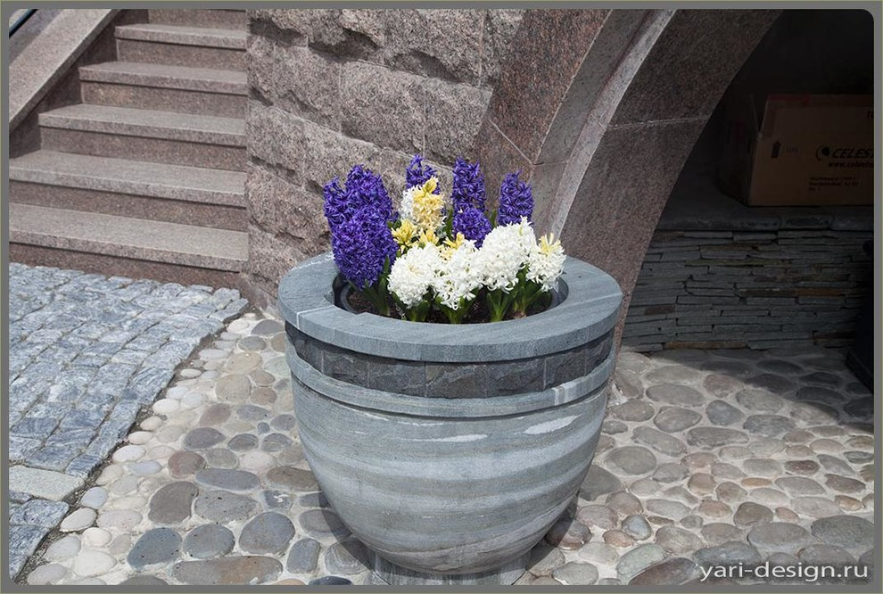 Весенний сад