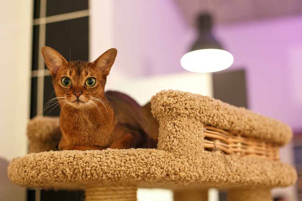 Квартира на Марата