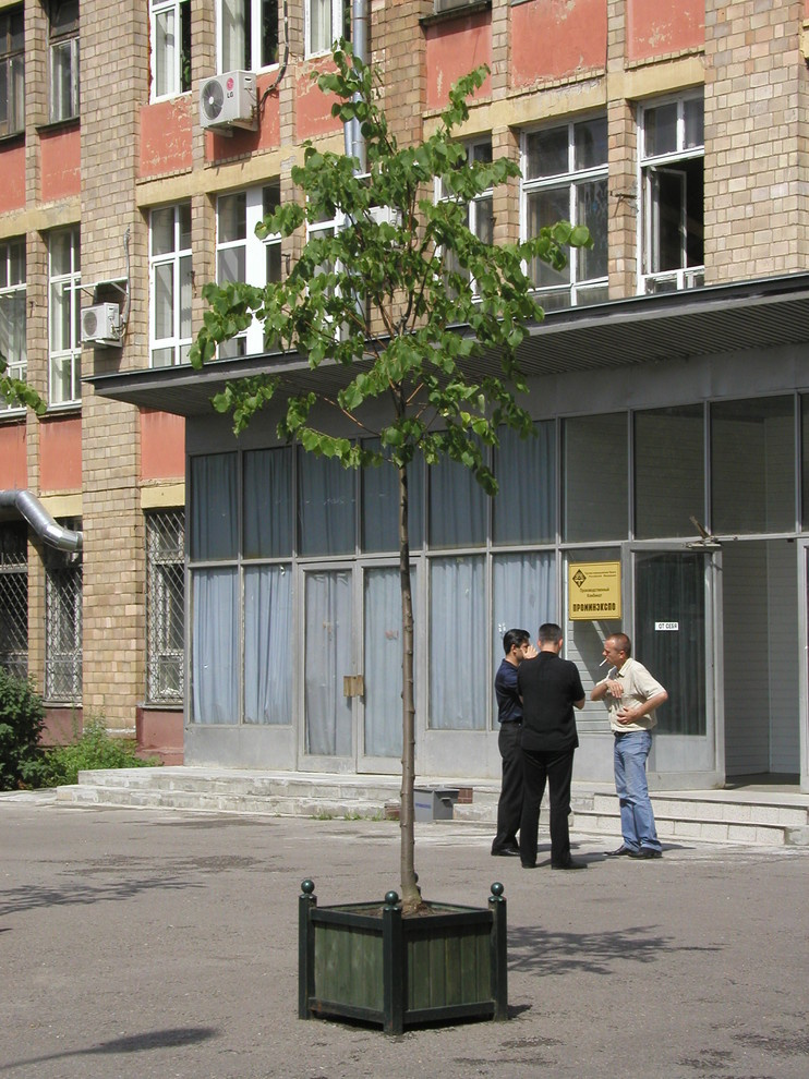 Обложка проекта: Контейнеры для уличного озеленения