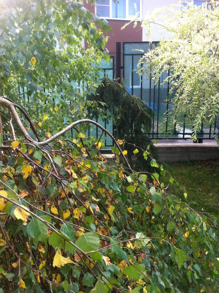 "Сад эгоист"