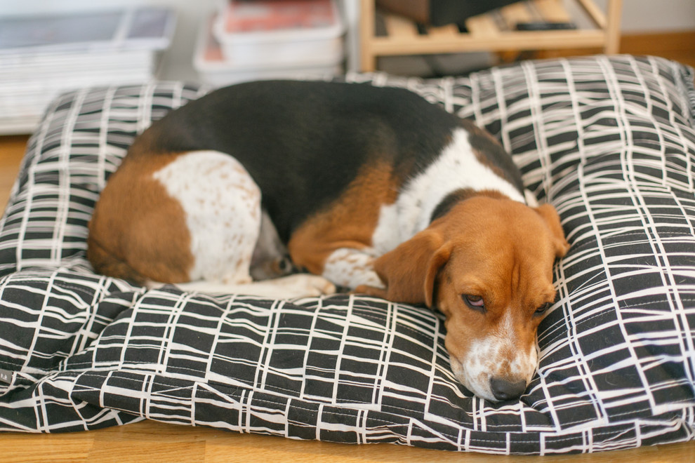 Квартира в Хельсинки