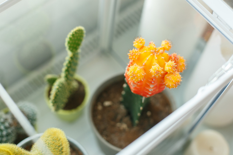 Квартира в Хельсинки