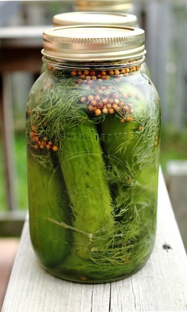 Хранение продуктов: кладовая, ледник, винный погреб