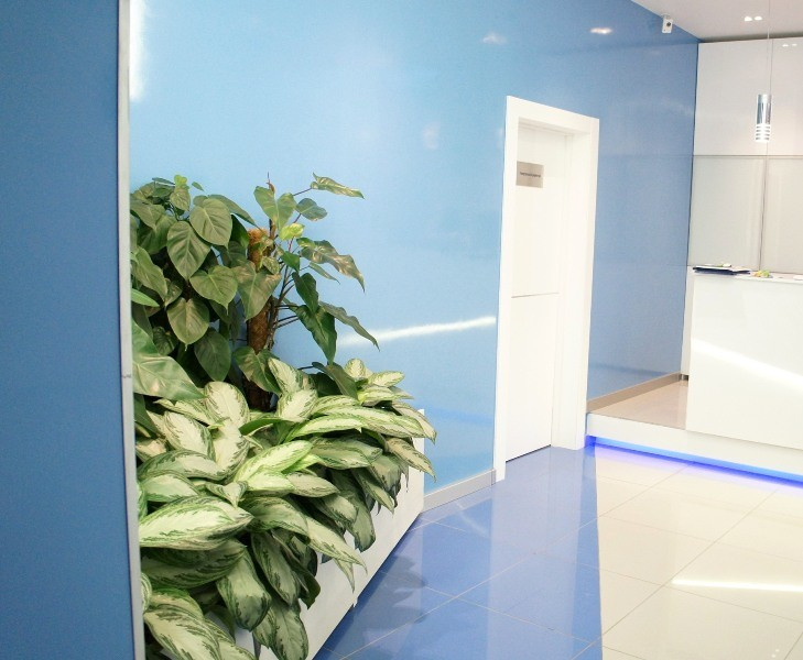 Примеры наших работ