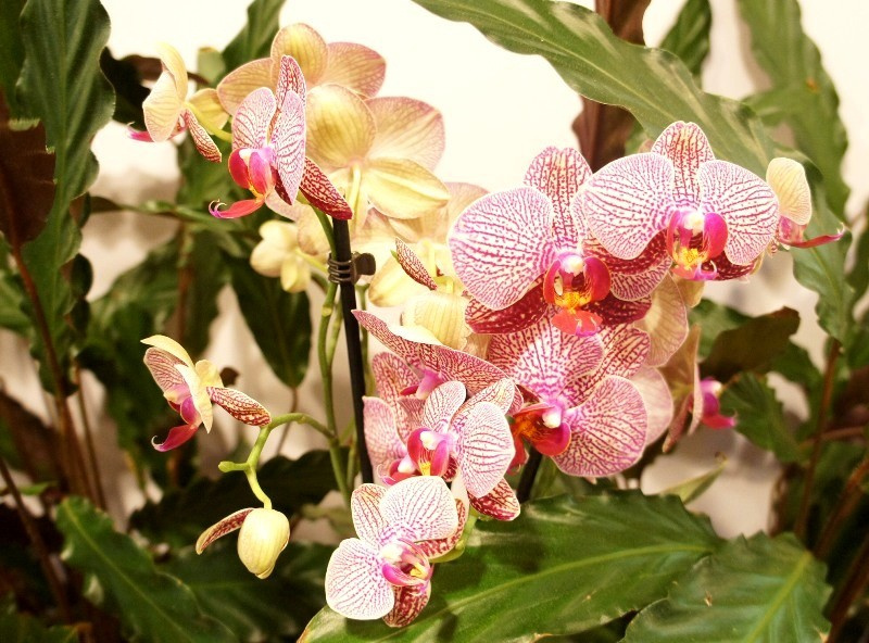 Примеры наших работ