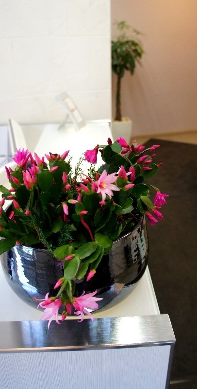 Примеры наших работ