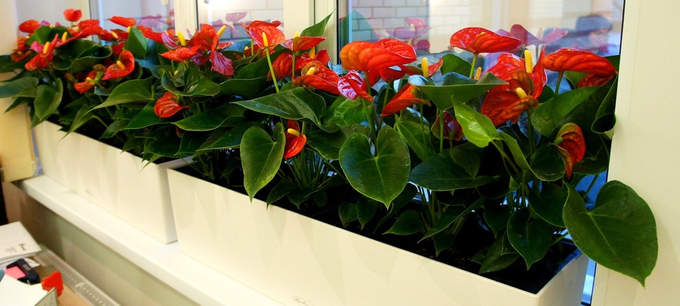 Примеры наших работ